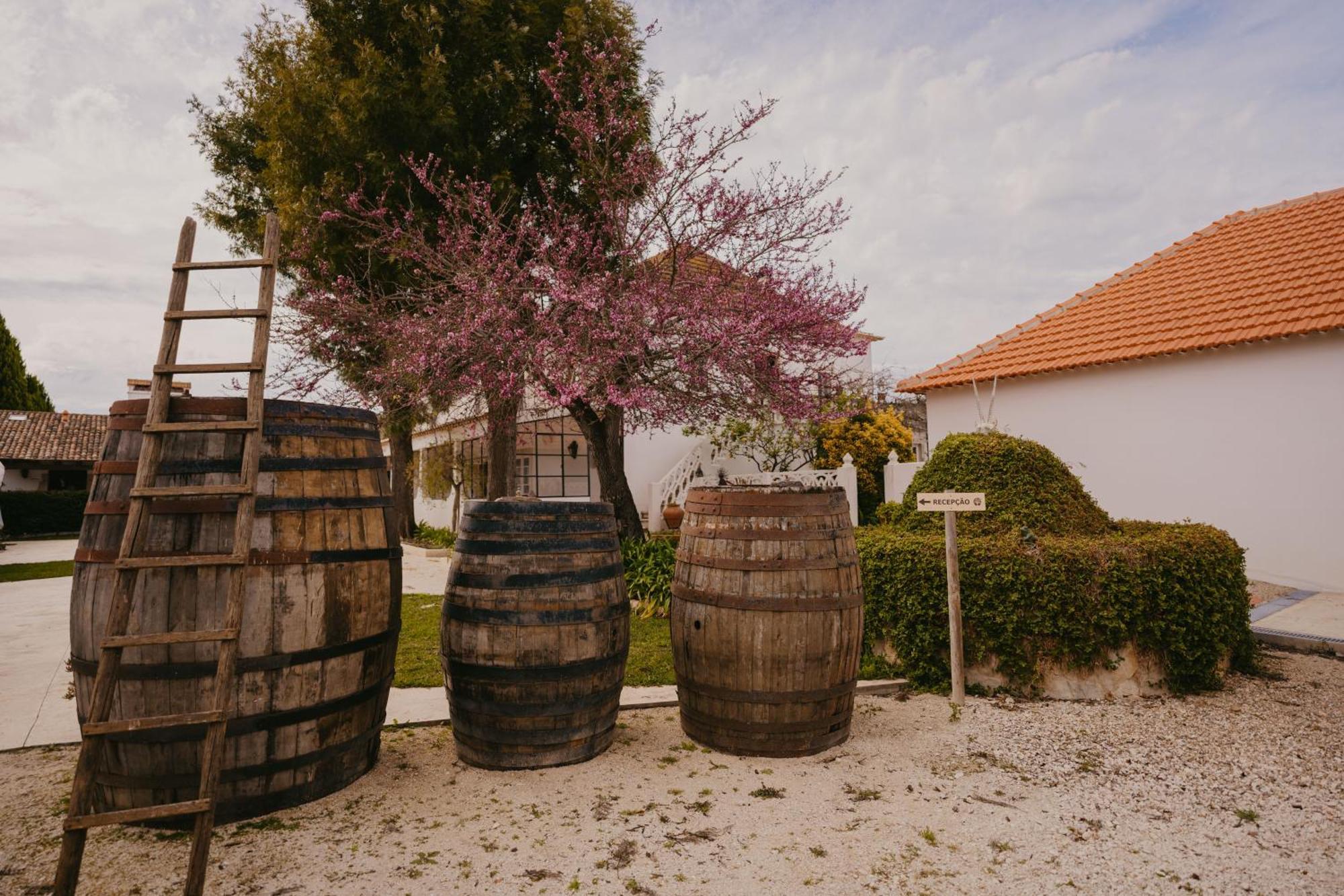 Hotel Quinta Carvalhas - The Green Farm Casevel Esterno foto