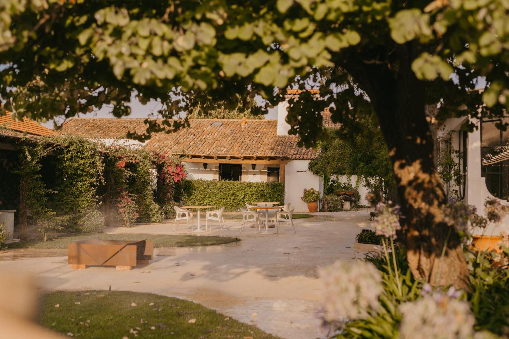 Hotel Quinta Carvalhas - The Green Farm Casevel Esterno foto